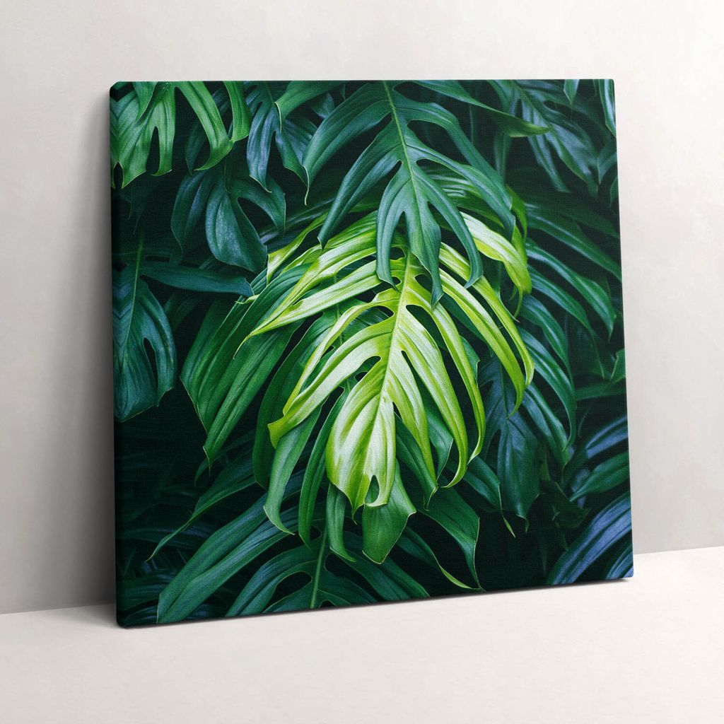 Tropical nature - monstera leaves – Leinwandbild Wandbild – 60x60 cm – Leinwandbilder – Wandbilder – Schlafzimmer – Flur