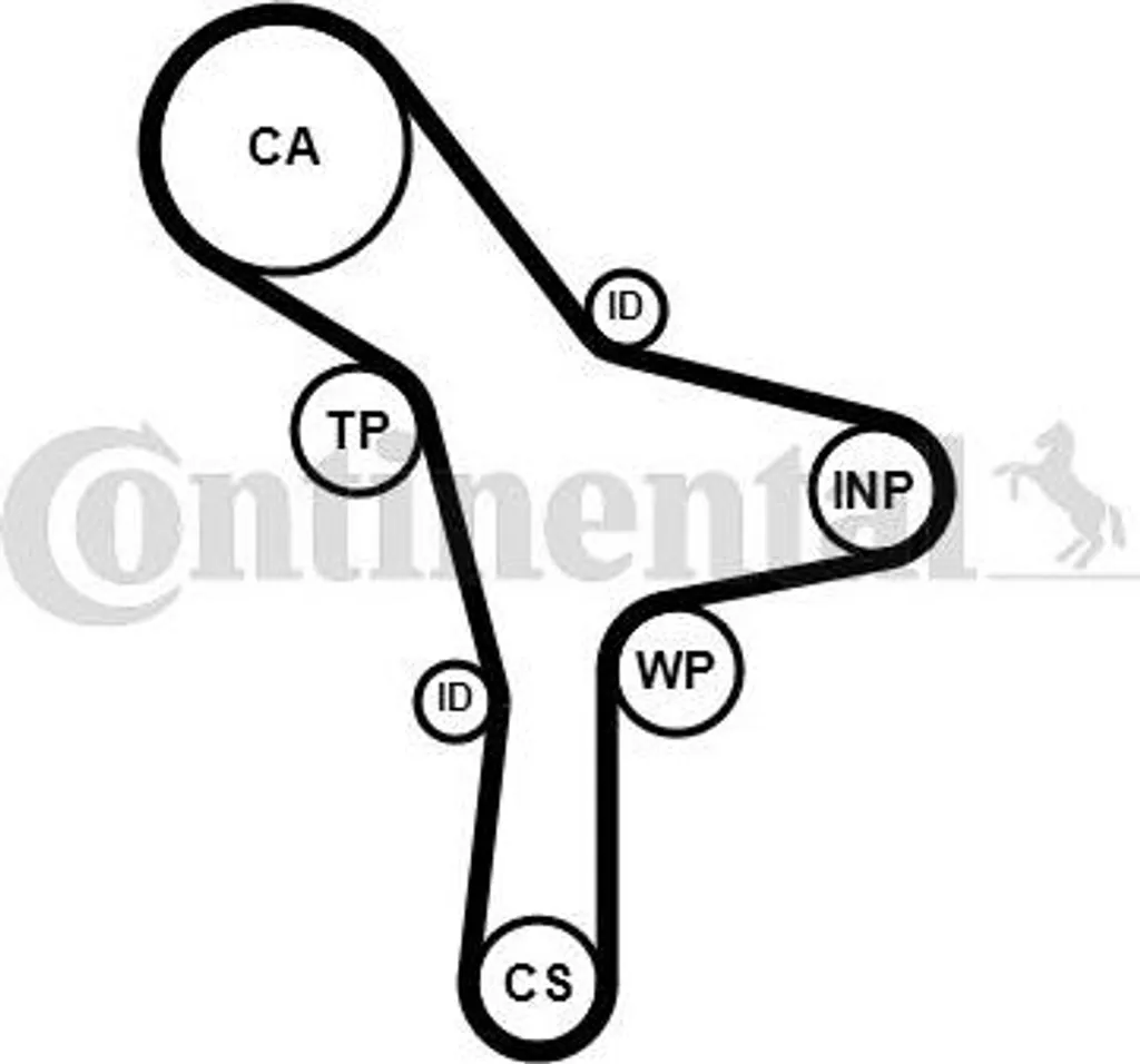 Courroie synchrone Continental CT1176 OE 2431239800 haute résistance