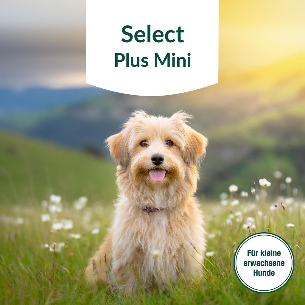 Puro Hundefutter Select - Plus Mini - 5 kg
