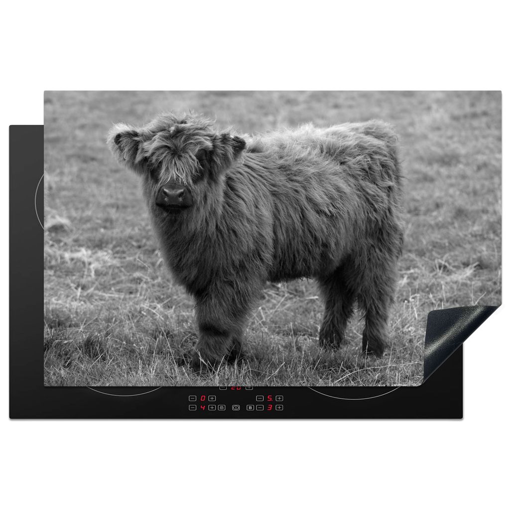 KitchenYeah Herdabdeckplatte Porträt eines schottischen Highlander-Kalbs - schwarz und weiß , 80x52cm, Küche Deko, Glaskeramikkochfeld Herdabd...