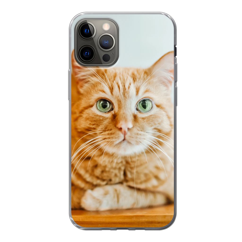 MuchoWow Handyhülle Schutzhülle Hülle für iPhone 13 Pro Katze - Holz - Schrank Silikon Softcase Handy Hülle - Handy-Tasche