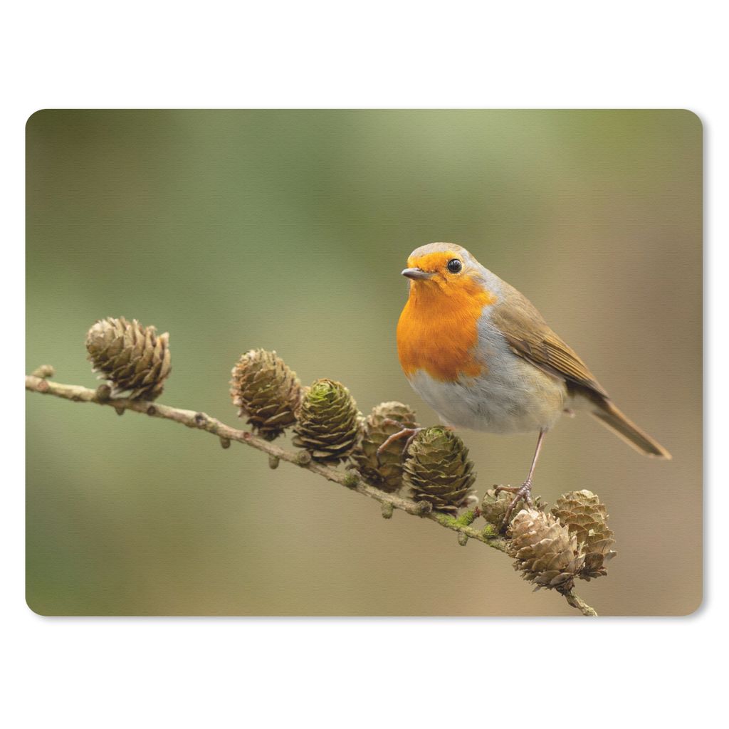 MuchoWow Mauspad Mousepad Vogel - Rotkehlchen - Tannenzapfen - Zweig - Herbst 40x30 cm - Mousepads - Maus Mat - Pad - Mausunterlage - Anti Rutsch