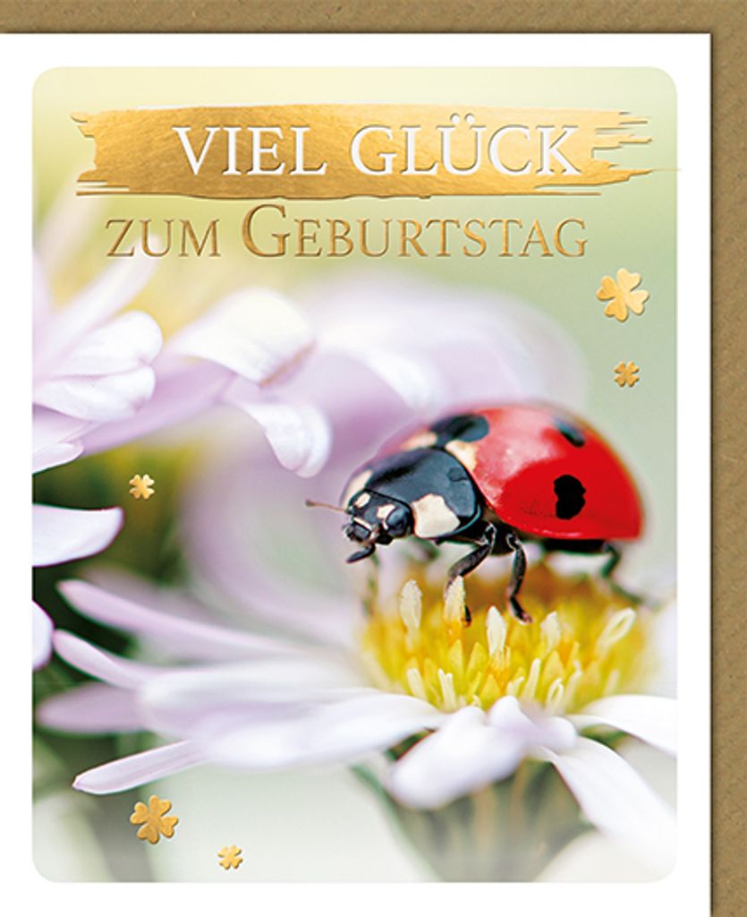 Geburtstag - Glückwunschkarte im Format 11,5 x 17 cm mit Umschlag