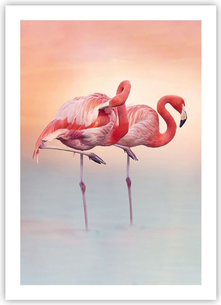 Poster - Poster ohne Rahmen - Flamingos Exotik Vögel - 50x70 cm - Wand Bild - Wanddeko - Wandbilder - Kunstposter - Wandposter - Bilder - Kunstdru...