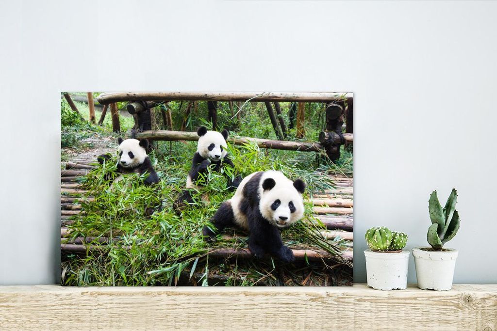 MuchoWow Wanddekoration Metall Metallbild Wandkunst 30x20 cm Pandas - Bambus - Blätter MuchoWow Aluminium Gemälde - Aluminiumgemälder