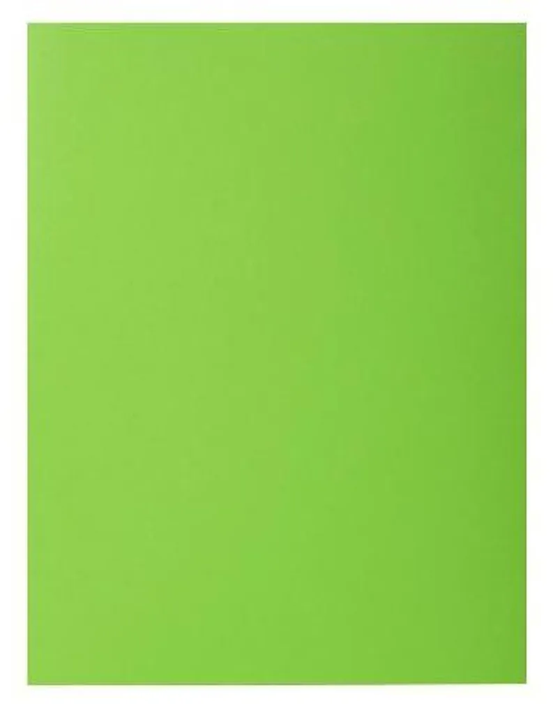 Exacompta Rock's 210 Chemises Vertes 24x32cm - Pack de 100 Dossiers 217113E