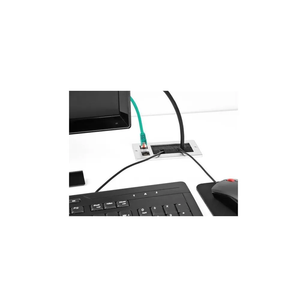 Module Keystone RJ45 double sortie Delock 66896 haute performance IDC - 4