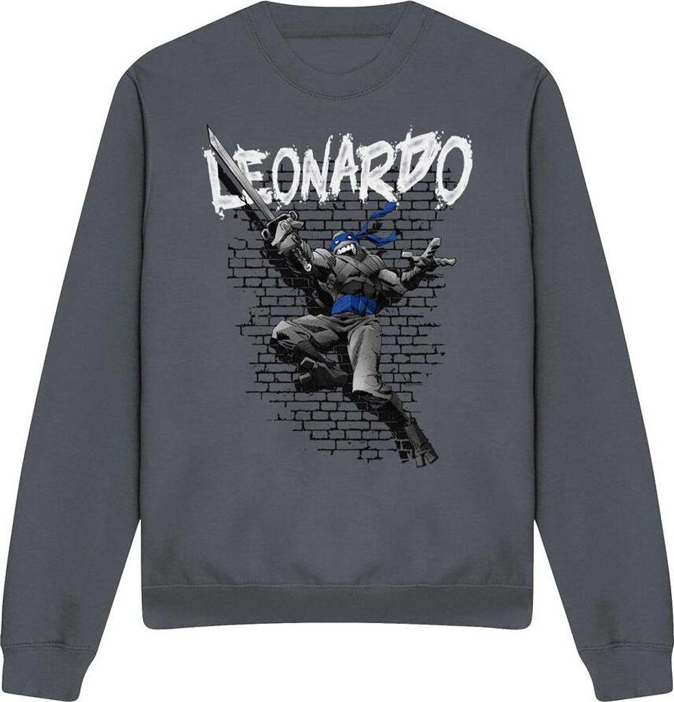 Teenage Mutant Ninja Turtles - Sweatshirt für Herren/Damen Uni TV12738 (L) (Holzkohle)