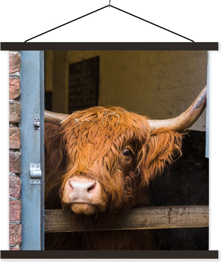 MuchoWow Textilposter Schottisches Hochlandrind - Bauernhaus - Scheune 60x60 cm mit schwarzem Rahmen - Posteraufhänger