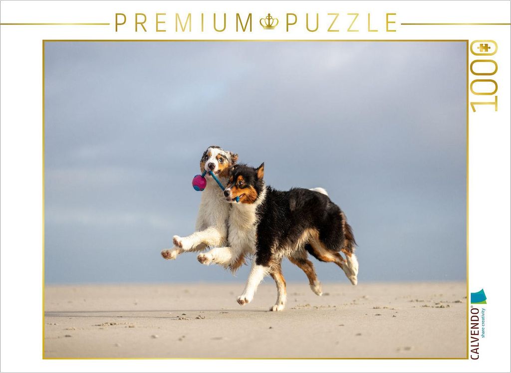 CALVENDO Puzzle Zu Zweit geht alles besser! 1000 Teile Puzzle quer | 1000 Teile Lege-Größe 64x48cm Foto-Puzzle für glückliche Stunden