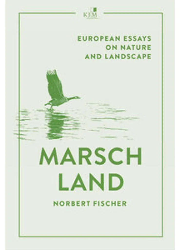 Marschland Pois Chiches Bio en Bocal Verre Consigné 320g Riche Protéines
