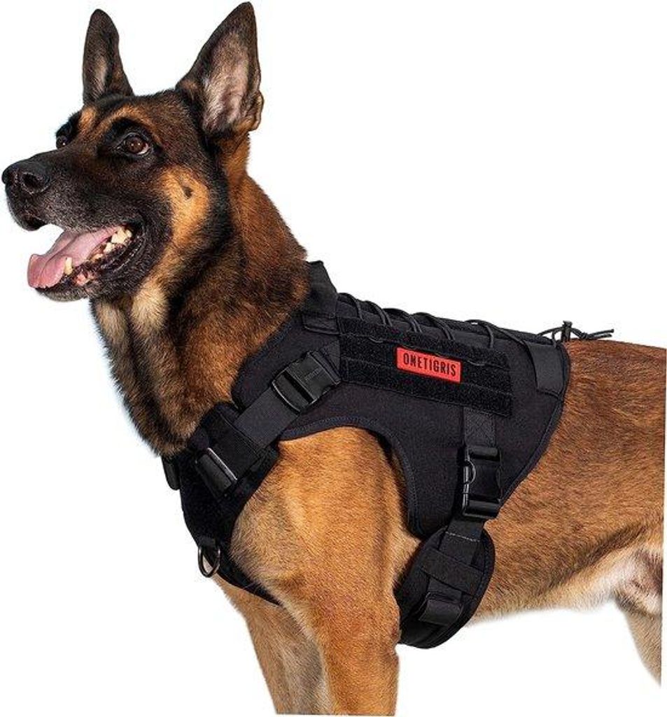 Schwarzes XL-Hundehalsband mit Handschlaufe und Metallverschluss