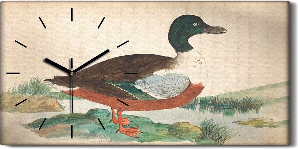 Wanduhr Uhr Wandbild Leinwand Geräuschlos 60x30 Vögel Wild Tiere Zeichnung Kunst - schwarze Hände