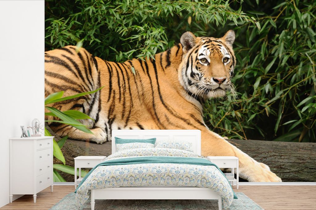 MuchoWow Fototapete für Wohnzimmer oder Schlafzimmer Wandtapete Vinyl Motivtapete Tiger - Baum - Blätter - 450x300 cm - Gemusterte