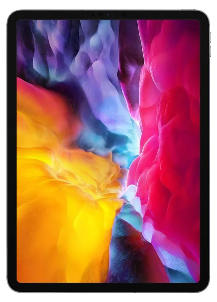 Apple iPad Pro 11 pouces 2ème Génération 256 Go Cellular Gris Sidéral