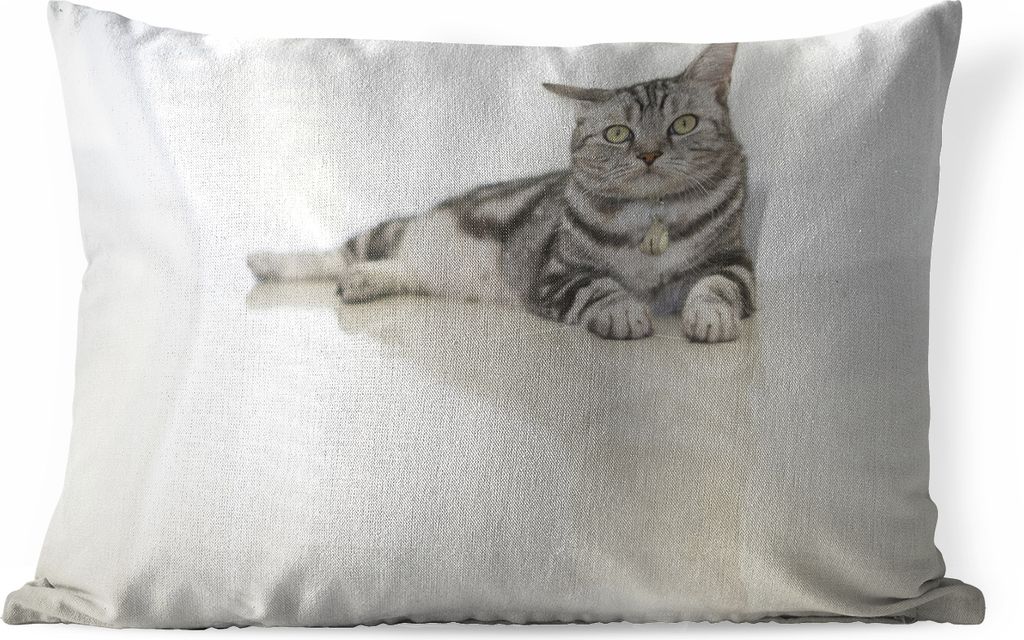 MuchoWow Outdoor Kissen - Katze - Grau - Tier - Mädchen - Kinder - Jungen - Kind - 50x30 cm - Wetterfest - Lounge Kissen - Sofa kissen - Wohnzim...