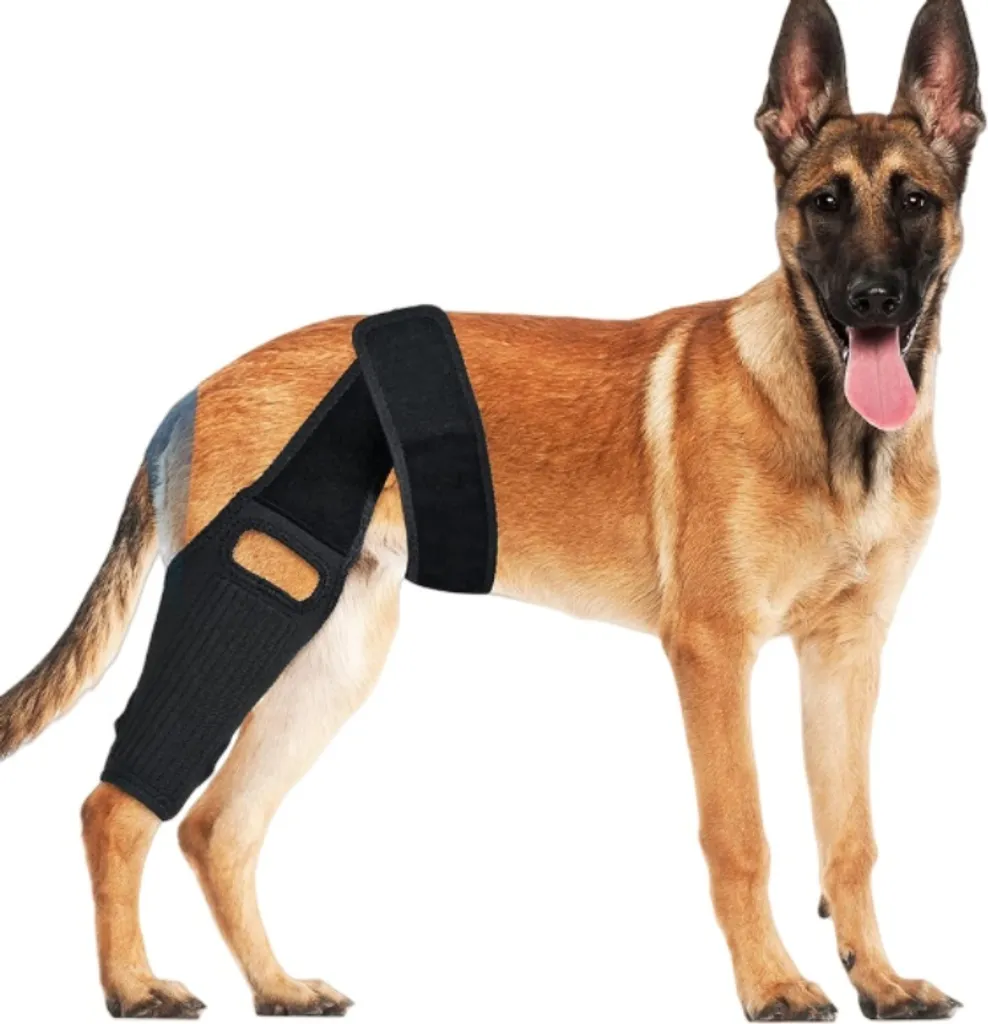 OFFERTA Tutore Cane XL Ginocchio Crociato - Supporto LCA Professionale