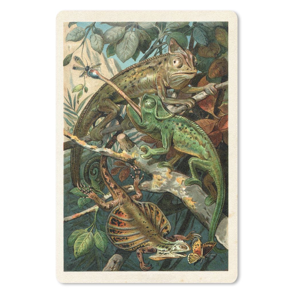 MuchoWow Mauspad Mousepad Vintage - Reptilien - Pflanzen 40x60 cm - Mousepads - Maus Mat - Pad - Mausunterlage - Schreibtisch Accesoire