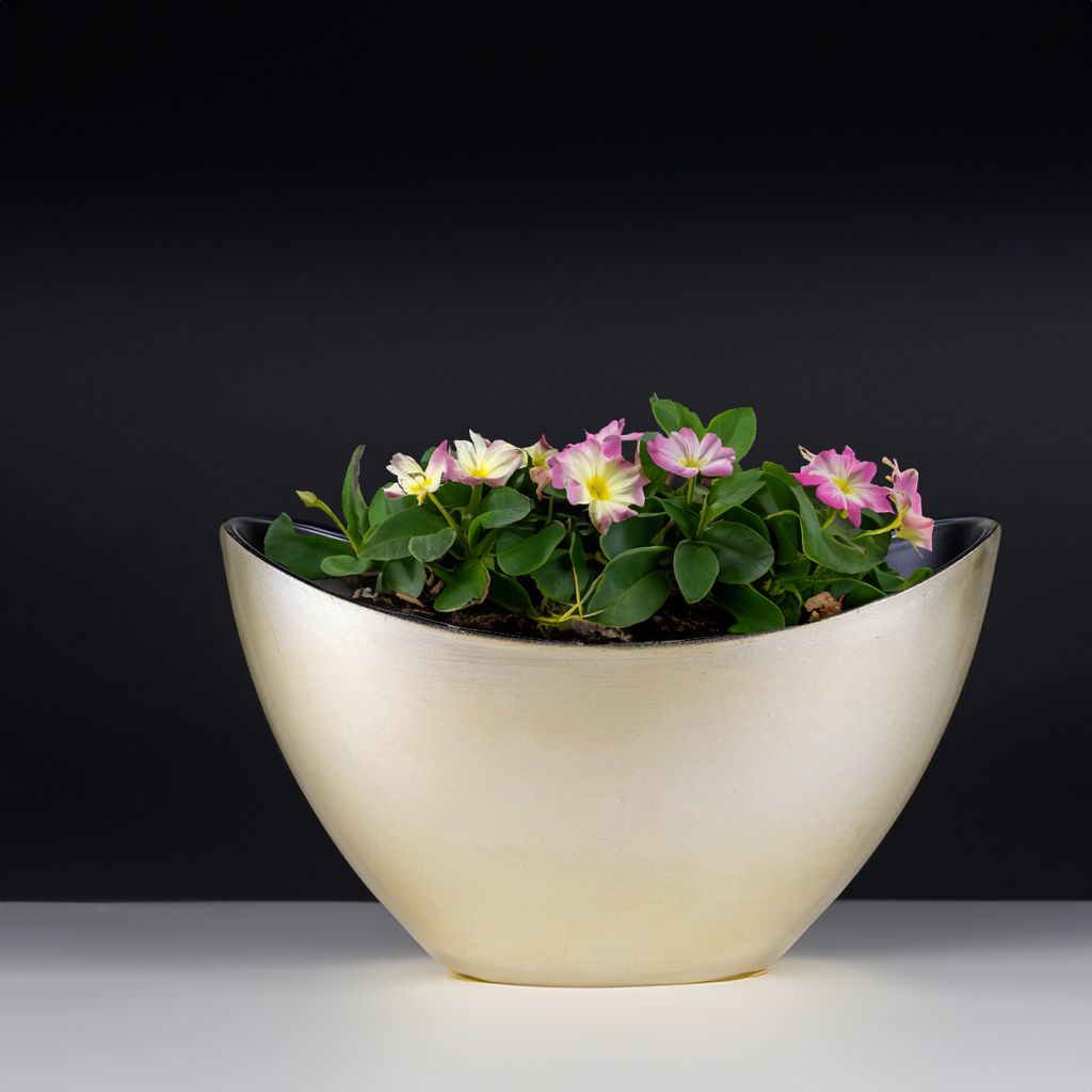Große Vintage Outdoor Pflanzschale oval 34 cm creme-weiss