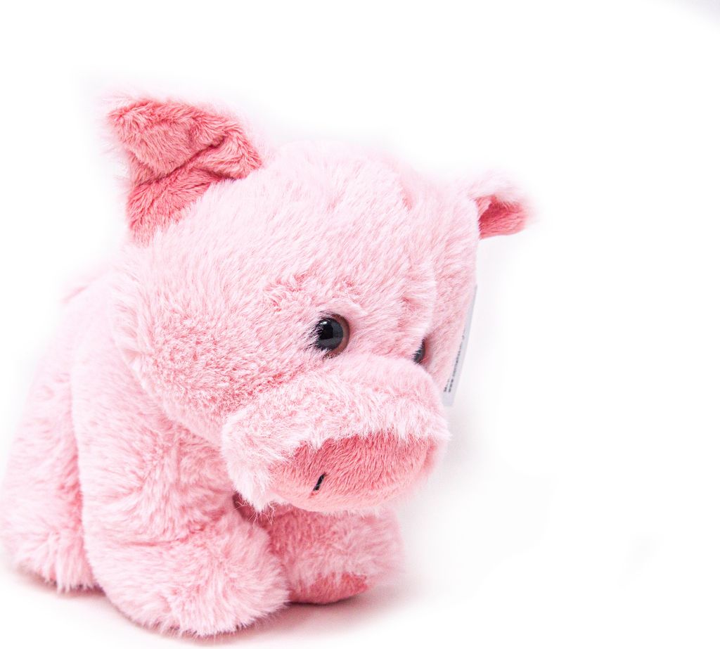 Cornelissen - Peluche - Maiale - 19 cm Immagine del prodotto 
