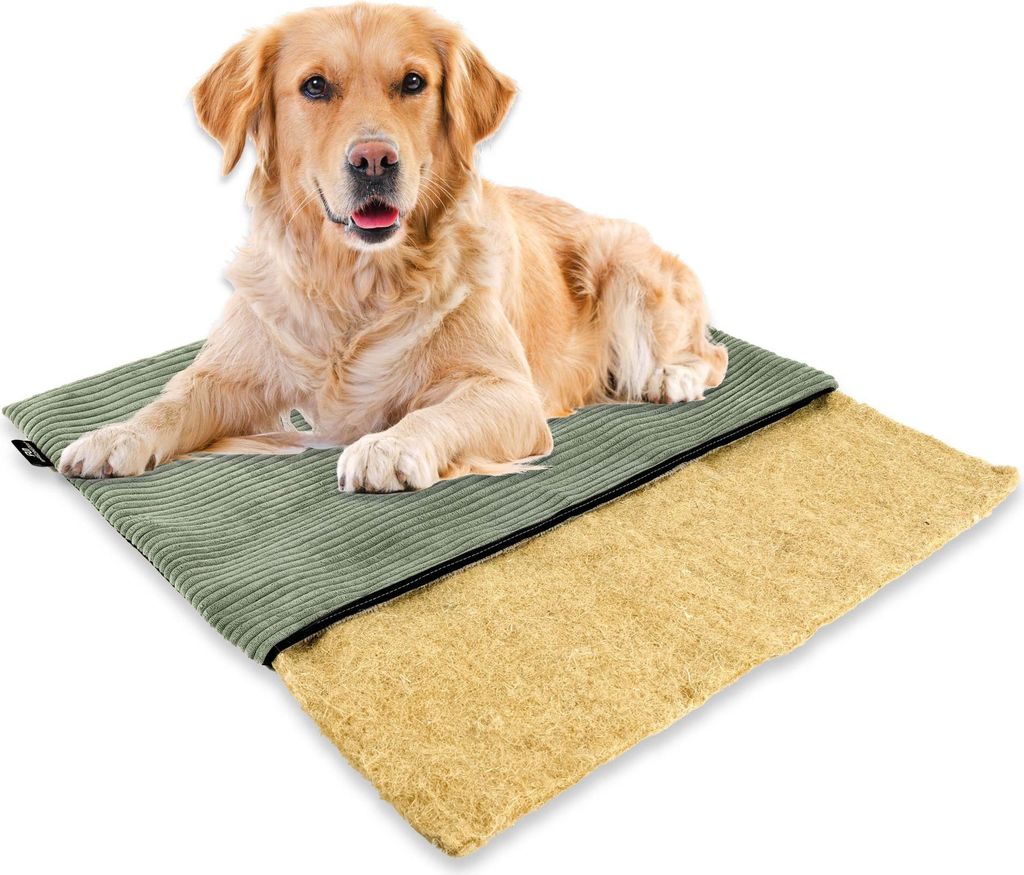 mümmi Hundebett HANF - geruchsbindend | Allergikerfreundlich | Hundekissen Cord-Bezug waschbar bei 60° | Hundematte eckig rutschfest | Hundedecke...