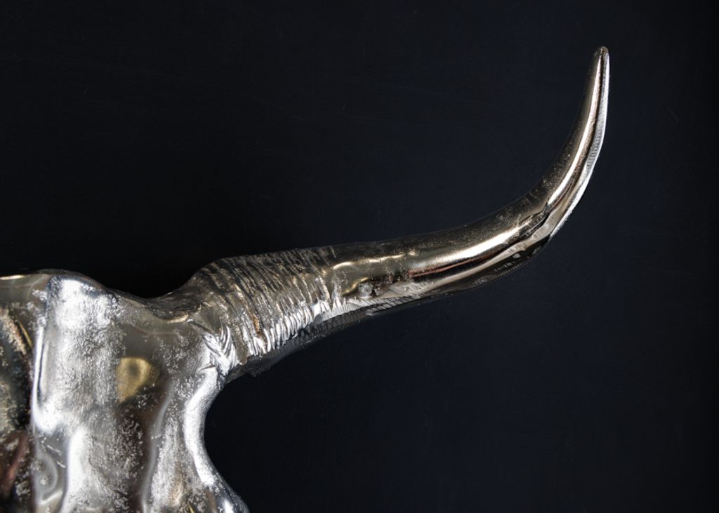 Eindrucksvoller Deko Schädel MATADOR Longhorn Skull massive Produktbild 4