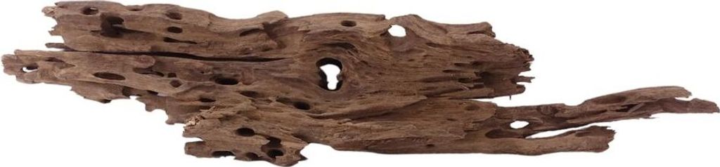 XL Honey Comb Wurzel Nr.1943 Holz Deko Aquascaping