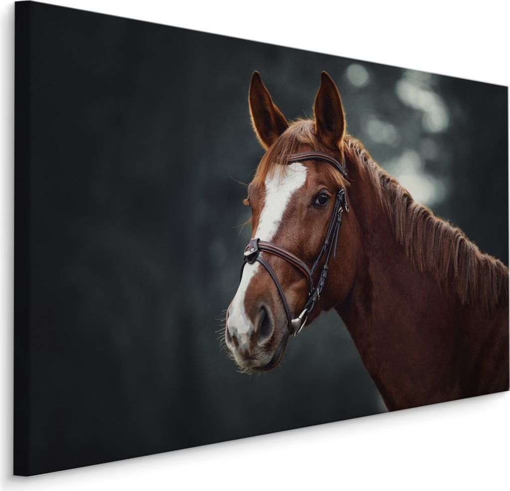Fabelhafte Canvas LEINWAND BILDER 70x50 cm XXL Kunstdruck Natur Pferd Wald Bäume