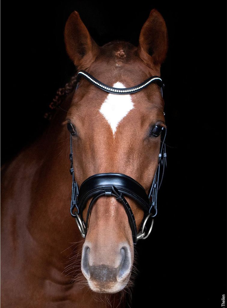 Schockemöhle Sport Anatomical Snaffle Stanford Snaffle Obrázek produktu 5