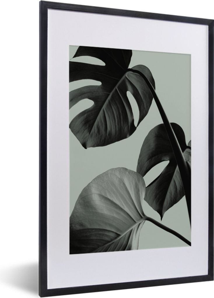 MuchoWow Gerahmtes Poster Monstera - Blätter - Grün - Stilleben 40x60 cm - Poster mit Schwarzem Bilderrahmen Wandposter Rahmen Foto Bilder - Po...
