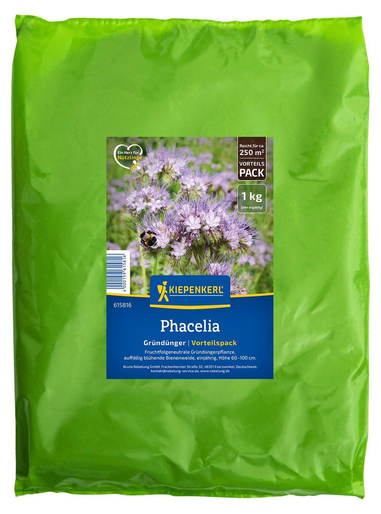 Kiepenkerl Gründünger Saatgut Phacelia 1 kg für 250 m² Produktbild 