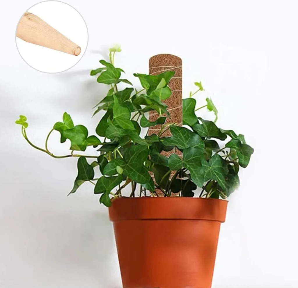 Tuteur coco naturel 450mm avec extension modulable pour Monstera - 4Pcs - 6