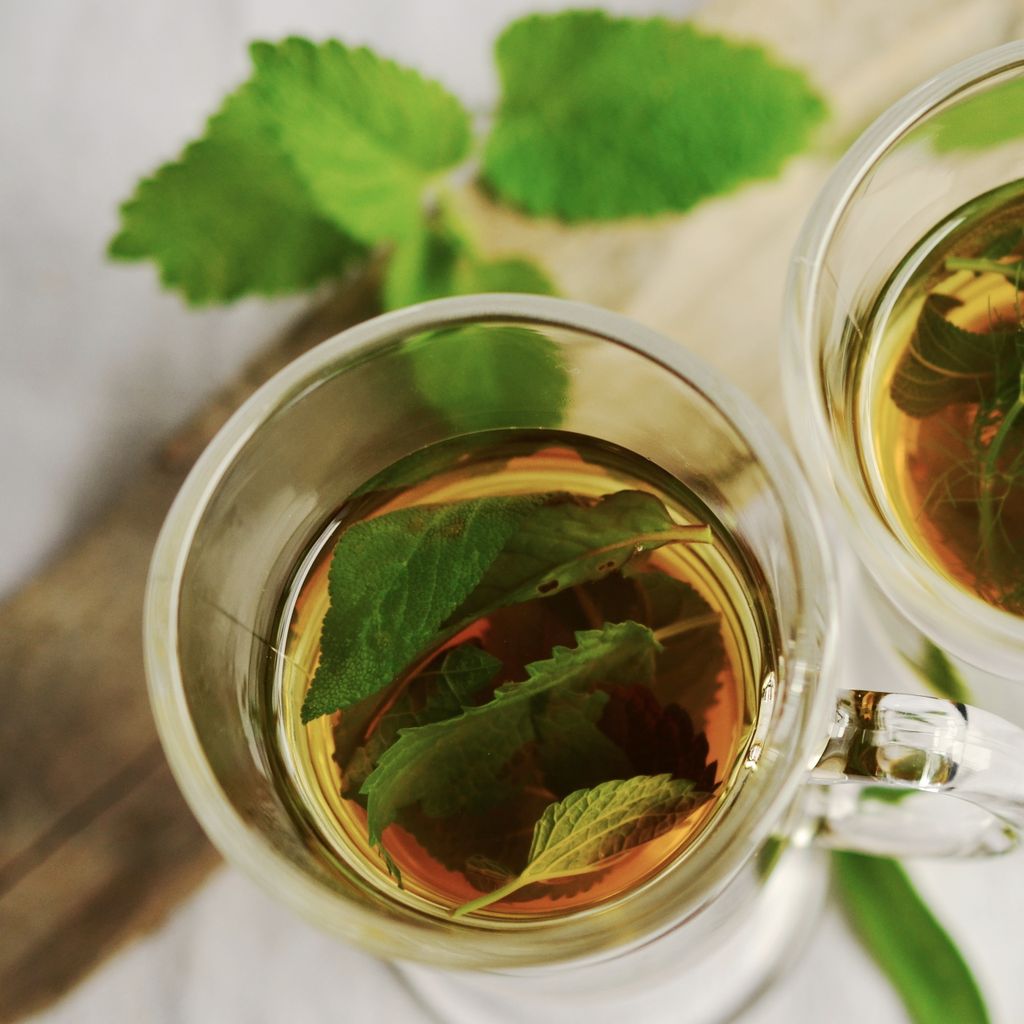 Salbei Samen - Salvia officinalis - Salbeisamen - Produktbild 6