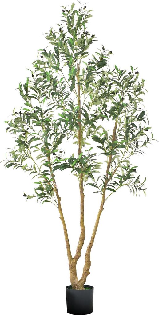 A full-shot of an artificial olive tree in a black pot.
