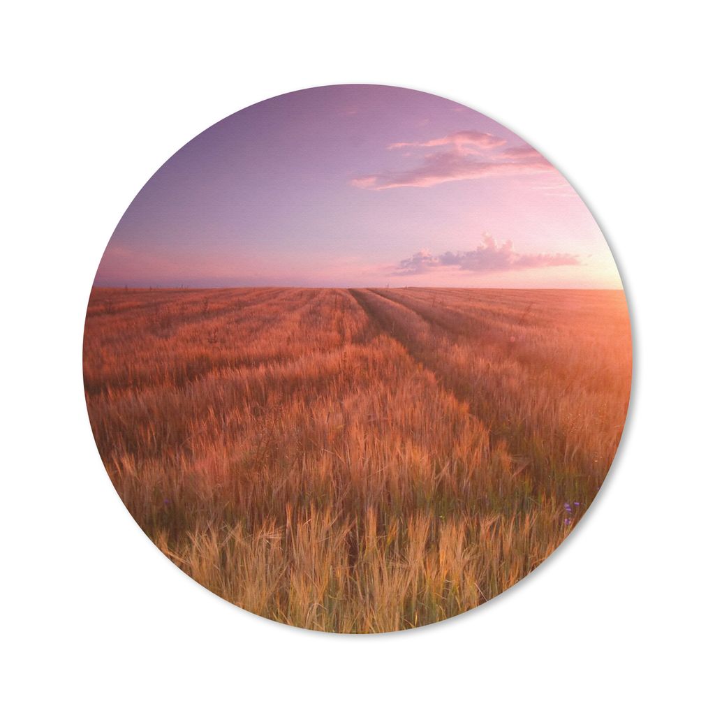 MuchoWow Mauspad Mousepad Wiese - Sonne - Abend - Landschaft 50x50 cm - Mousepads - Maus Mat - Pad - Mausunterlage - Vinyl