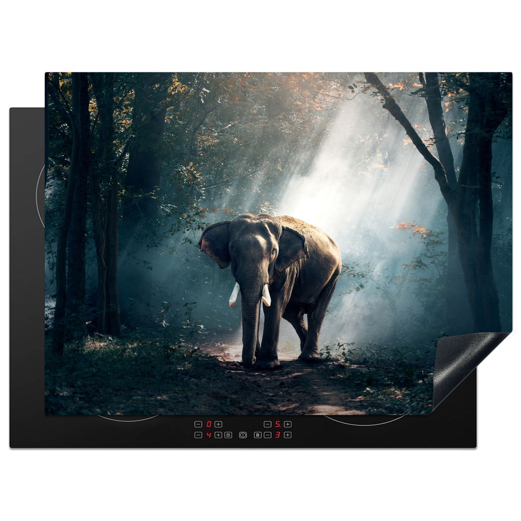 KitchenYeah Herdabdeckplatte Elefant - Tiere - Licht - Wald - Natur - Wildtiere , 70x52cm, Küche Deko, Glaskeramikkochfeld Herdabdeckung, Abdeck...