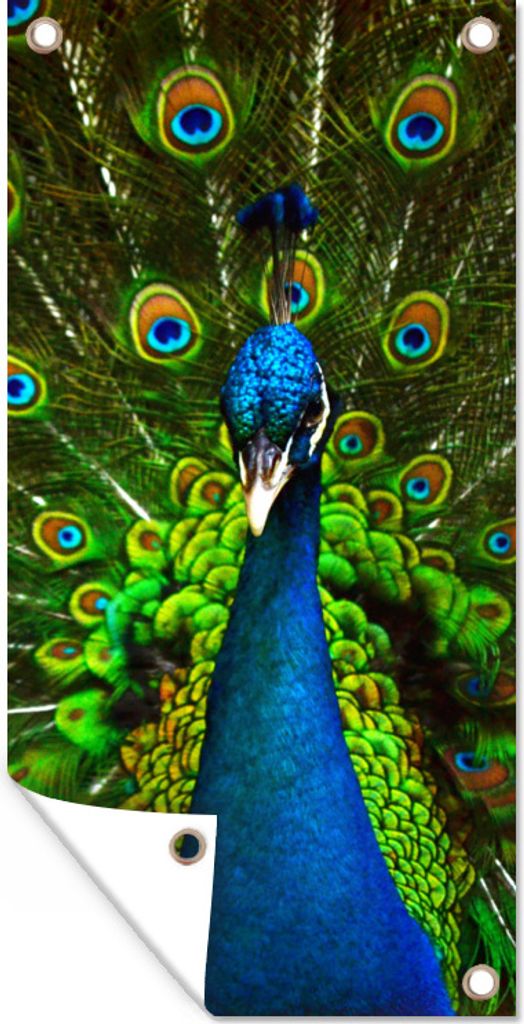 MuchoWow 40x80 cm Outdoor-Poster Gartendeko Sichtschutz Garten Poster für den Garten Pfau - Federn - Muster - Blau