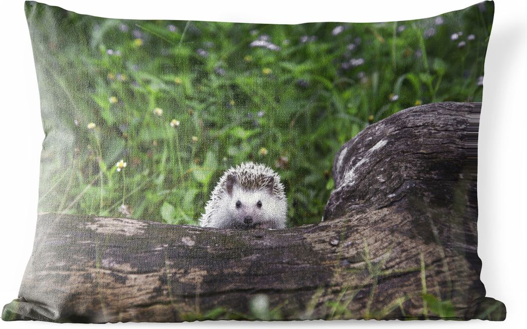 MuchoWow Outdoor Kissen - Kleiner Igel auf Baumstumpf - 60x40 cm - Wetterfest - Lounge Kissen - Zierkissen - Kissen für Innenräume