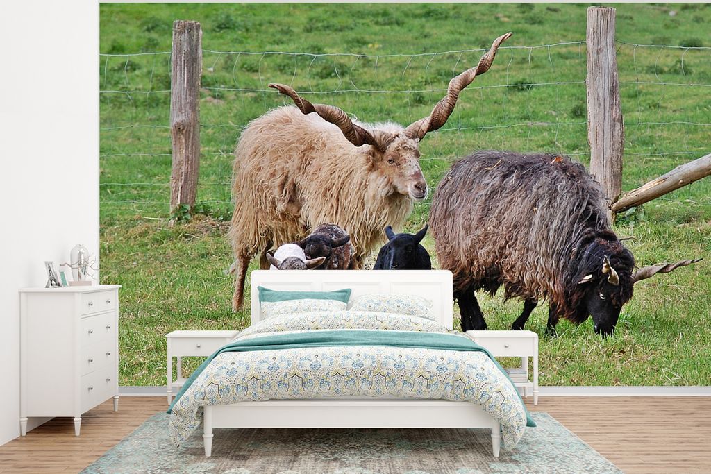 MuchoWow Fototapete für Wohnzimmer oder Schlafzimmer Wandtapete Vinyl Motivtapete Schaf - Gras - Lamm - Horn - 375x280 cm - Schlafzimmer tapete