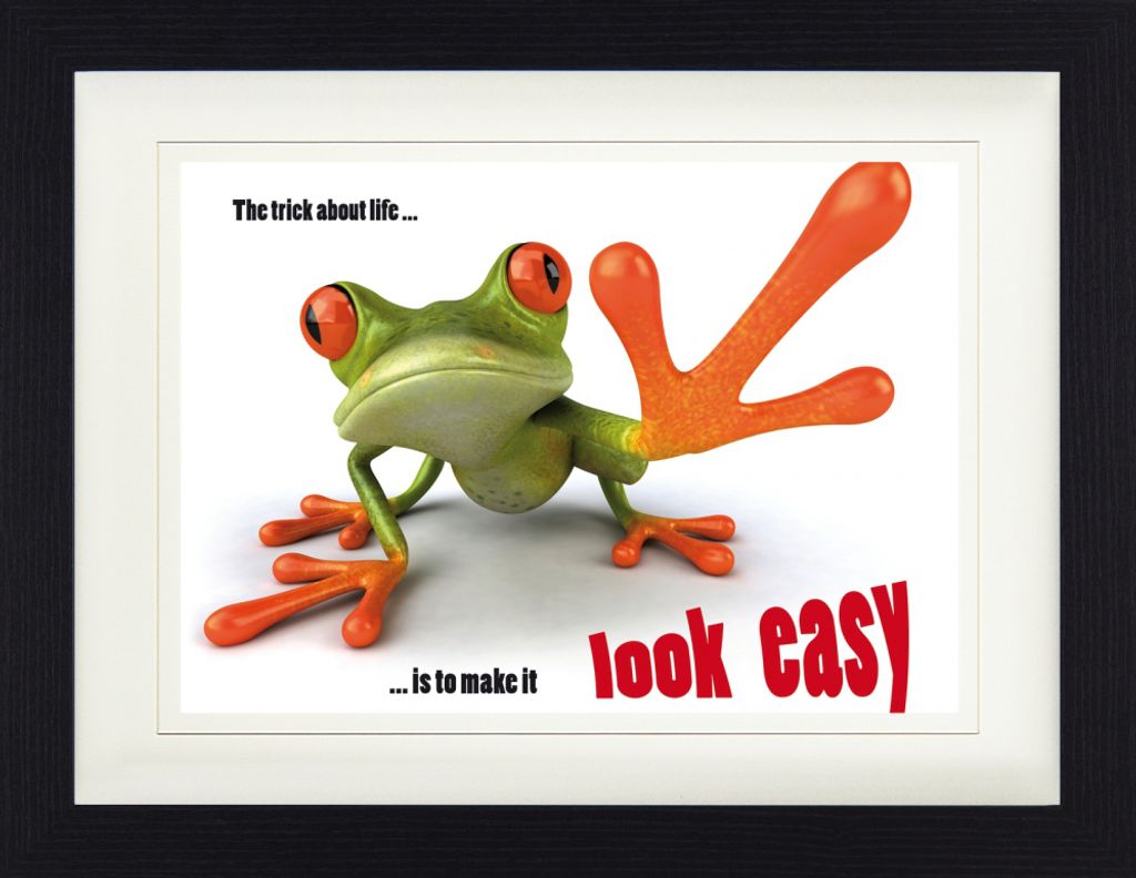 Frösche Gerahmtes Bild Mit Edlem Passepartout | Wand-Bilder | Im Bilderrahmen - Easy Life, Frosch Philosophie (30 x 40 cm)