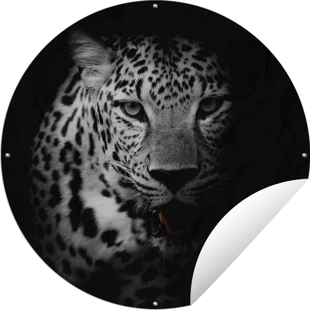 MuchoWow Gartenposter Outdoor-Poster Rund Tiere - Schwarz - Weiß - Panther - Porträt Ø 120 cm Gartendeko Rundes Poster draußen