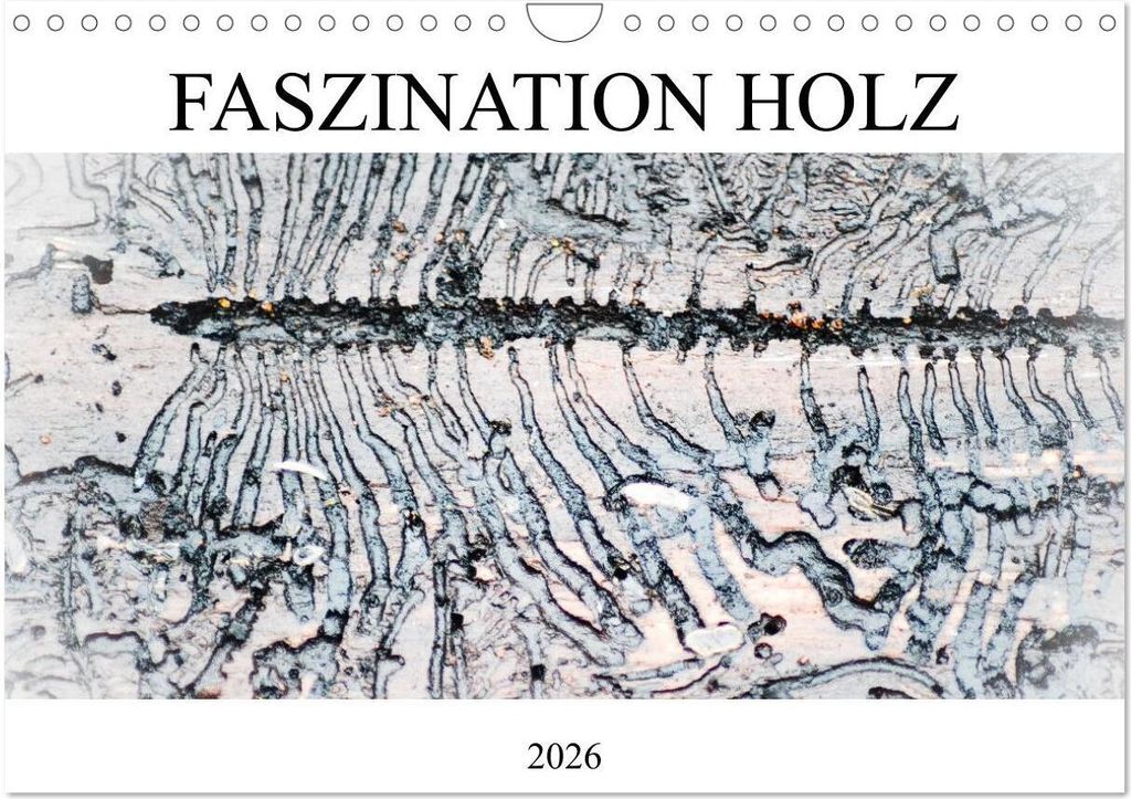 Faszination Holz (Wandkalender 2026 DIN A4 quer), CALVENDO Monatskalender