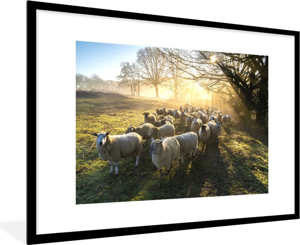 MuchoWow MuchoWow Gerahmtes Poster Schaf - Sonne - Wiese 90x60 cm - Poster mit zchwarzem Bilderrahmen - Wanddekoration - Fotos