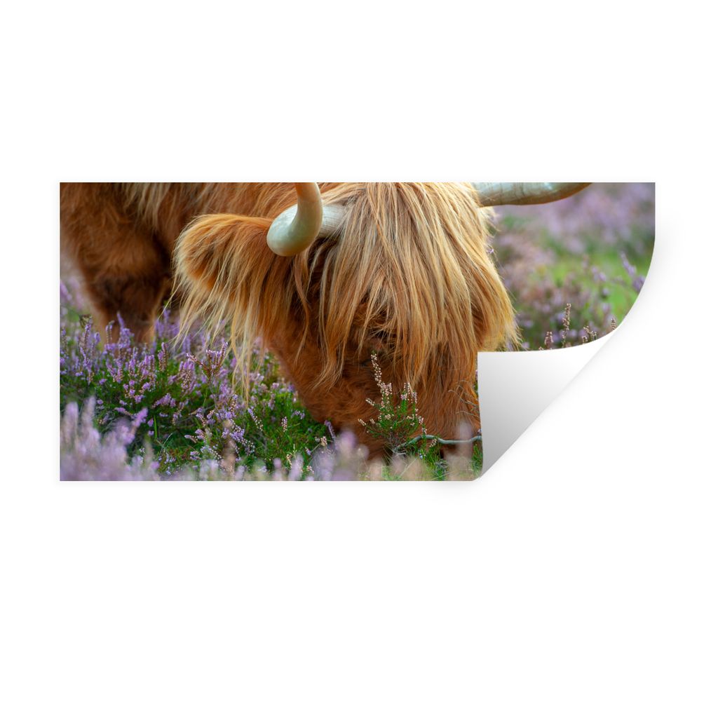 MuchoWow Wandtattoo Wandsticker Wandaufkleber Schottischer Hochländer - Hörner - Heidekraut 40x20 cm Selbstklebend und Repositionierbar - Aufkl...