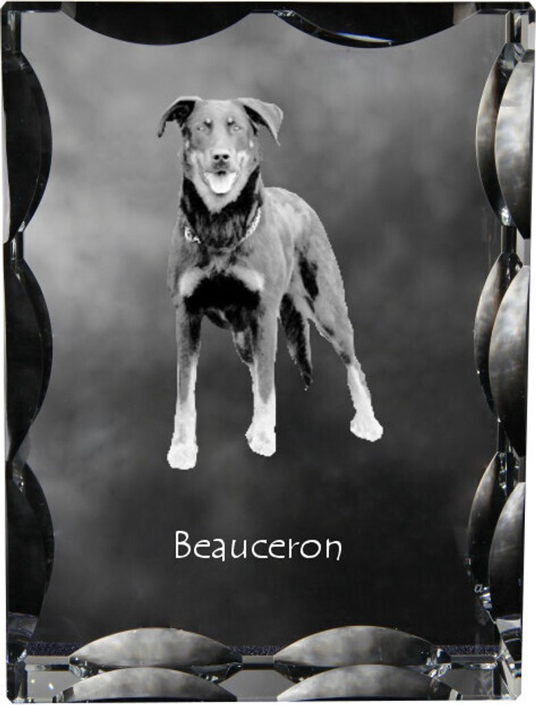 Berger de Beauce, Beauceron - Kristall mit einem Hundebild, Glasstatuette mit einem Bild, einzigartiger Bilderrahmen der Marke Art-Dog