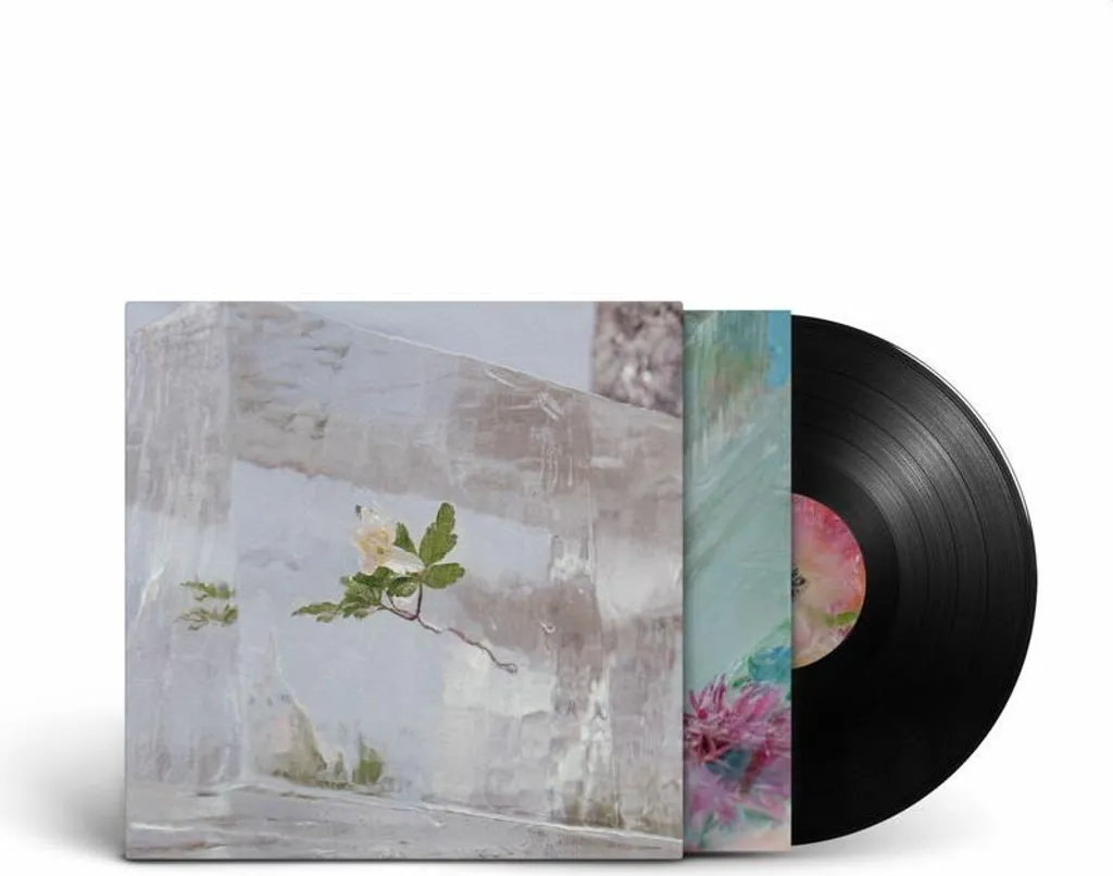 Vinyle Réverbération Windflowers LP - Musique d'Ambiance Salon