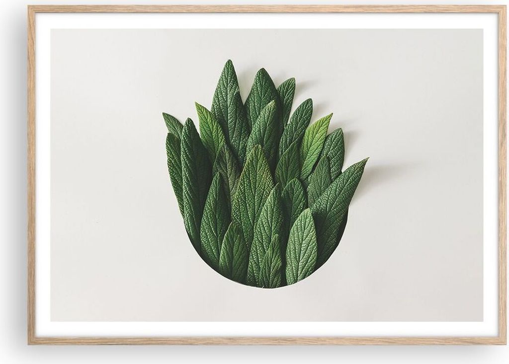 Gerahmtes Poster - Rahmen in heller Eiche - Salbei Medizin Blätter - 100x70 cm - Wand Bild - Wanddeko - Wandbilder - Kunstposter - Wandposter - Bi...