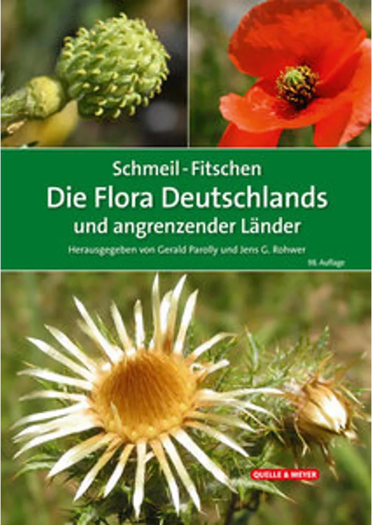 Flore d'Allemagne Schmeil-Fitschen Guide d'identification Botanique
