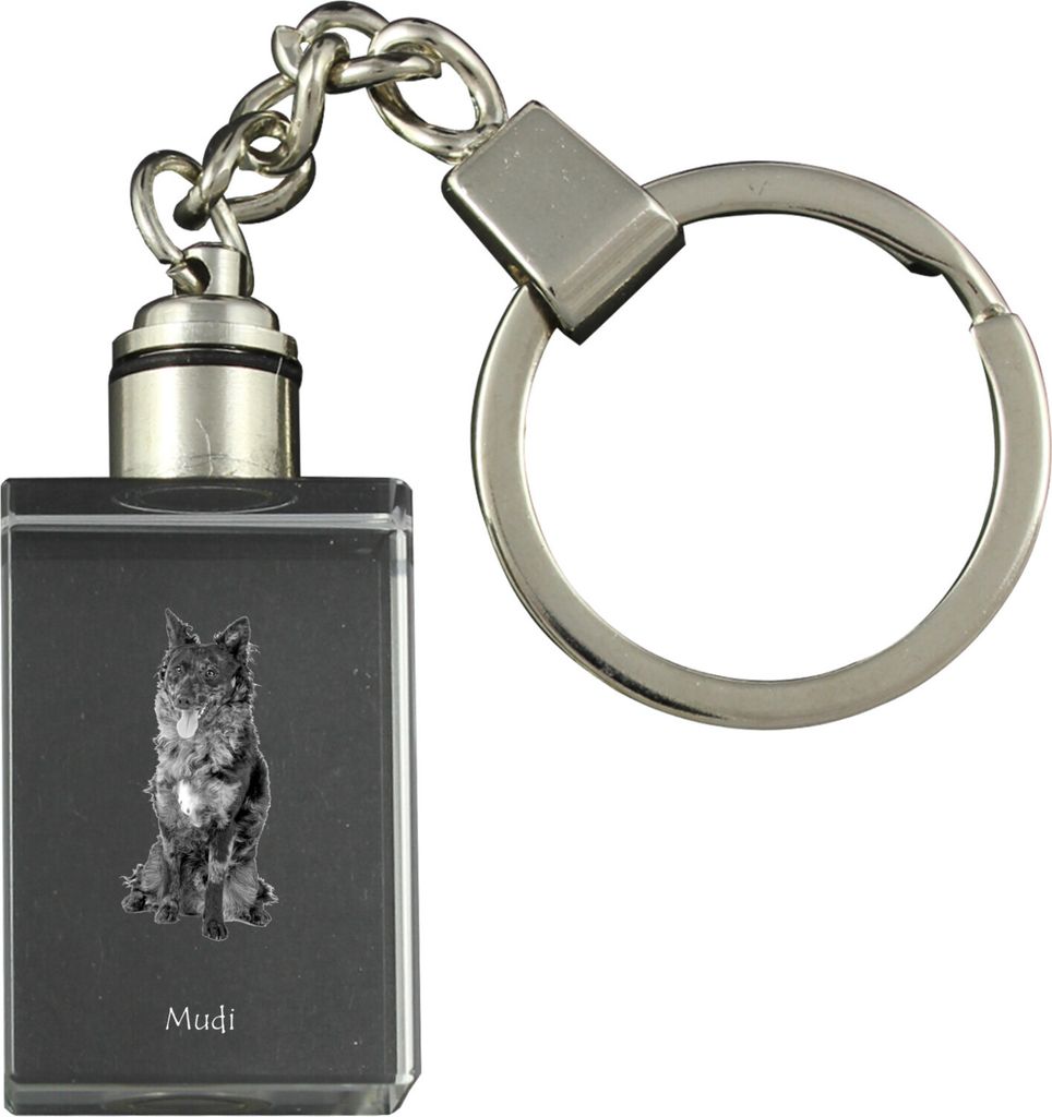 Mudi - Schlüsselanhänger aus Kristall mit Hundefoto, beleuchteter Schlüsselanhänger, einzigartiges Geschenk der Marke Art-Dog
