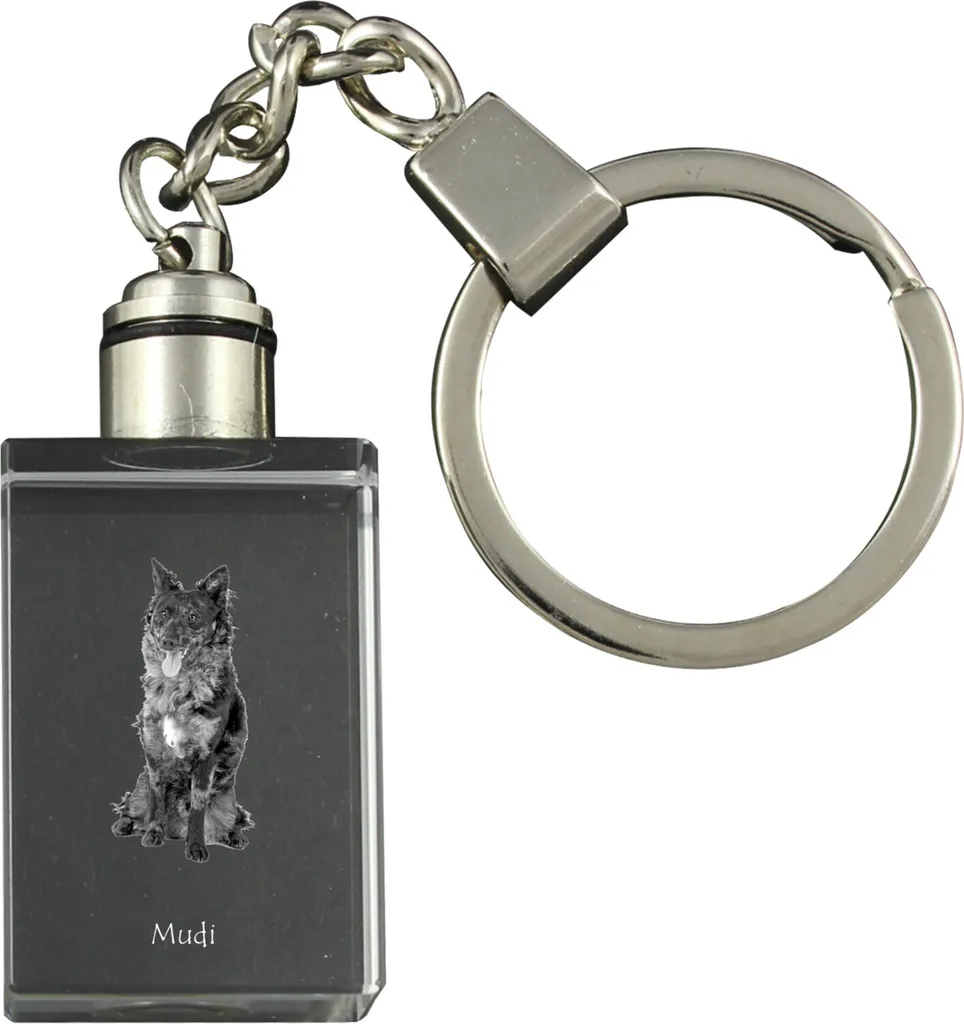 Art-Dog Mudi Portachiavi Luminoso - Idea Regalo Cane Originale